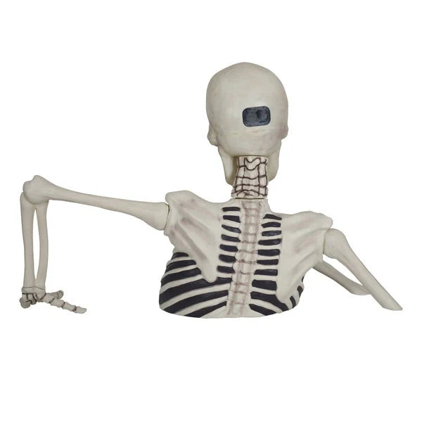 Glowing Skeleton with Sound