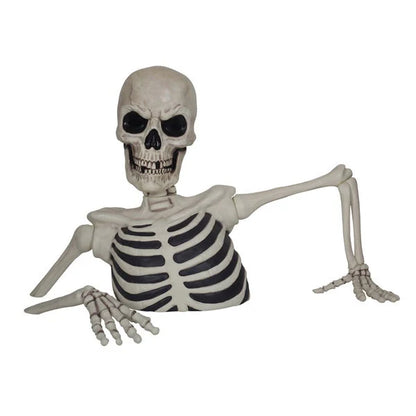 Glowing Skeleton with Sound