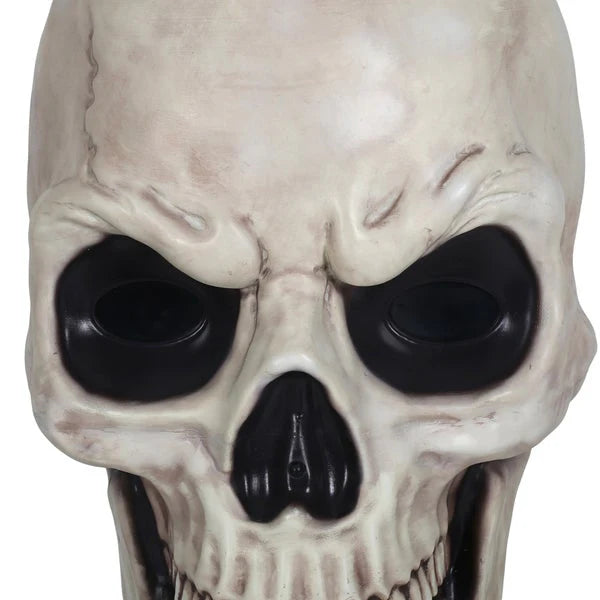 Glowing Skeleton with Sound