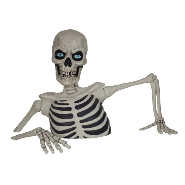Glowing Skeleton with Sound