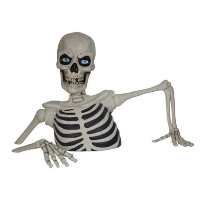 Glowing Skeleton with Sound