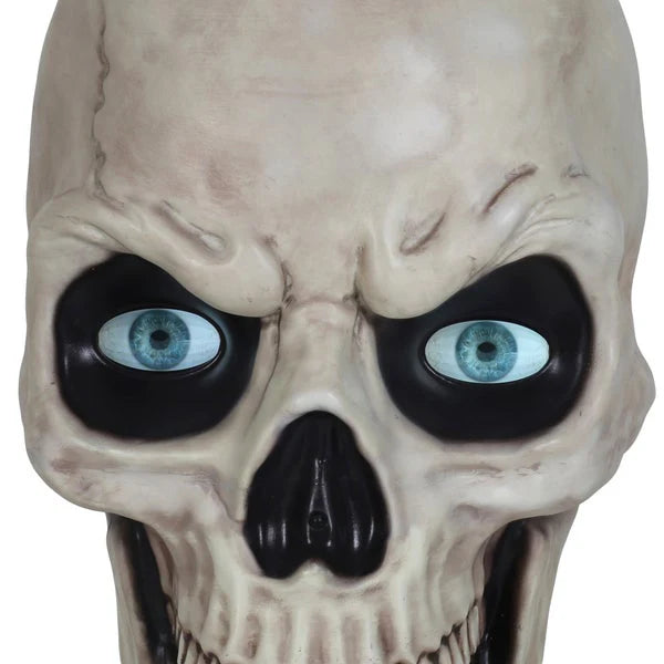 Glowing Skeleton with Sound