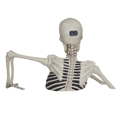 Glowing Skeleton with Sound