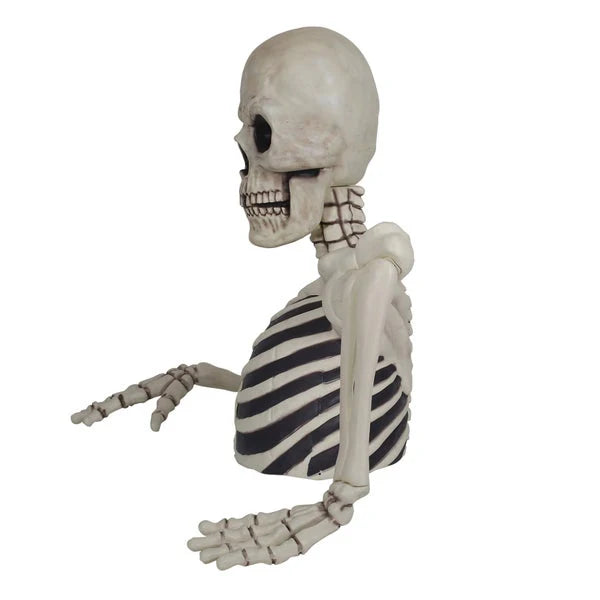 Glowing Skeleton with Sound