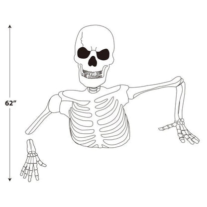 Glowing Skeleton with Sound