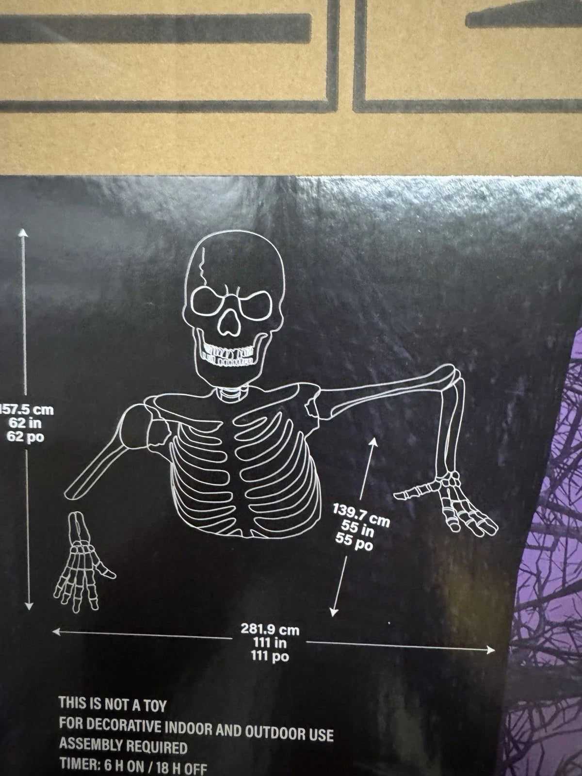 Glowing Skeleton with Sound