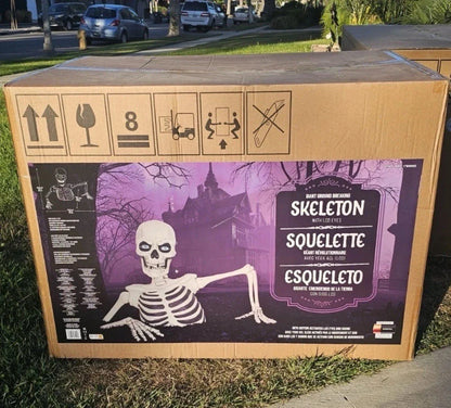 Glowing Skeleton with Sound